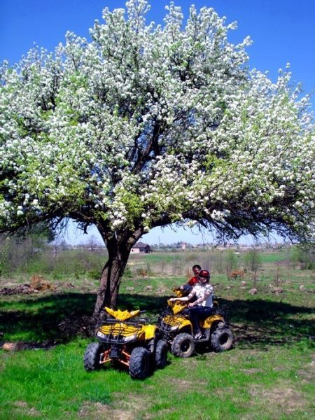 SP125-5