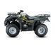 JIANSHE 250 WILD CAT 8598681675 фото 4