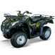 JIANSHE 250 WILD CAT 8598681675 фото 1