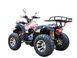 JinLing ATV 200 - UTILITA 3764434083 фото 3