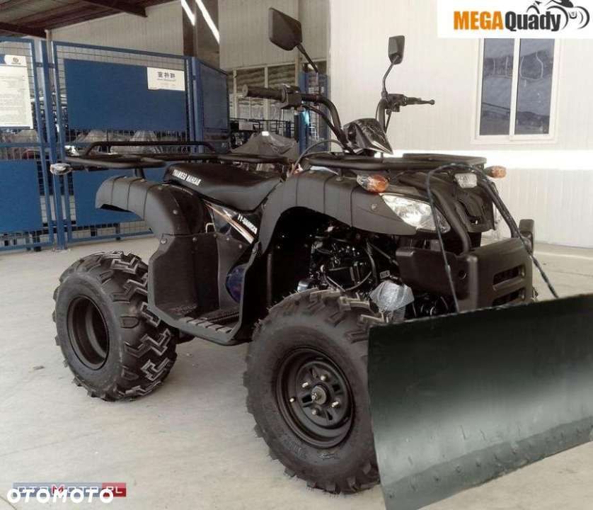 Bashan BS200AU-11 MAX 129223984 фото